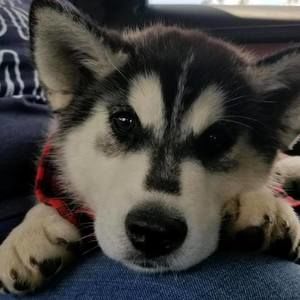 Meet your Posher, Lori